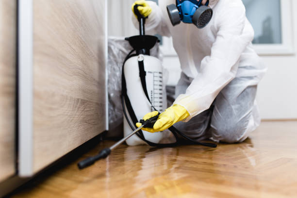 Best Pest Control Near Me in Benton Heights, MI