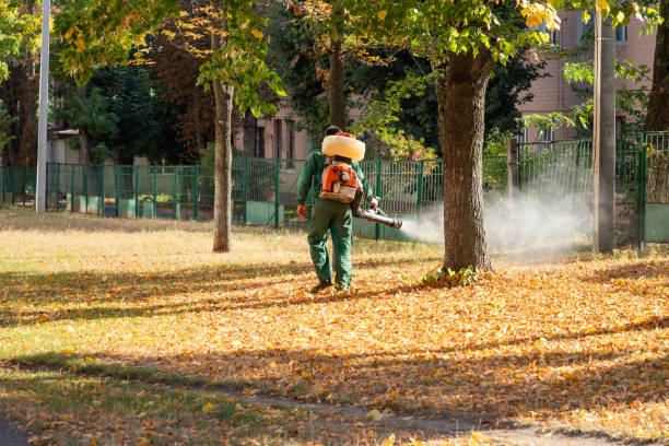 Best Pest Control for Businesses  in Benton Heights, MI