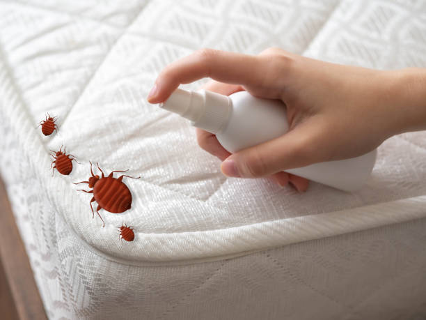 Best Termite Control Services  in Benton Heights, MI